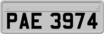 PAE3974