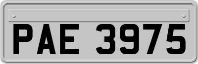 PAE3975