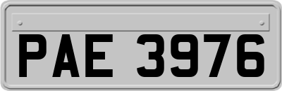 PAE3976