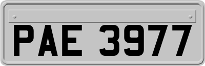 PAE3977