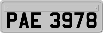 PAE3978