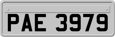 PAE3979