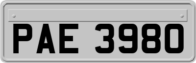 PAE3980