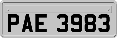 PAE3983
