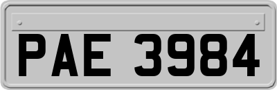 PAE3984