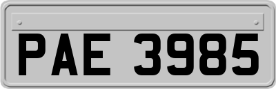 PAE3985