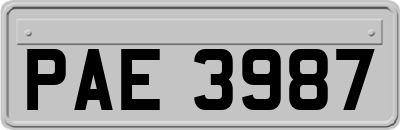 PAE3987