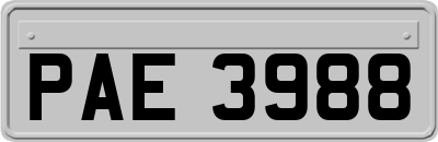 PAE3988