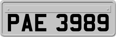 PAE3989