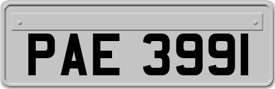 PAE3991