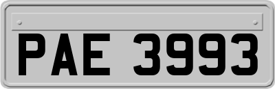 PAE3993