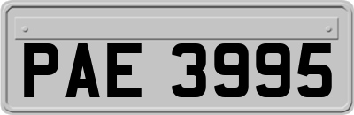 PAE3995