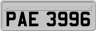 PAE3996