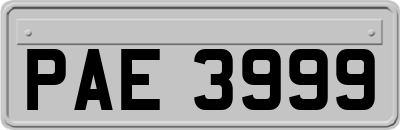 PAE3999