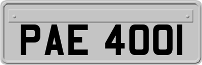 PAE4001