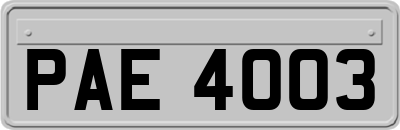 PAE4003