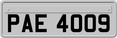 PAE4009