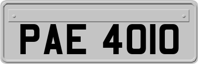 PAE4010
