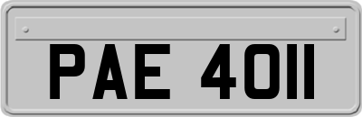 PAE4011