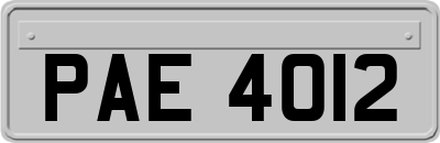 PAE4012