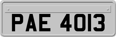 PAE4013