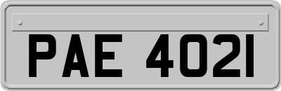 PAE4021