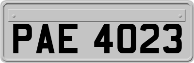 PAE4023
