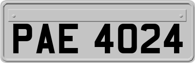 PAE4024