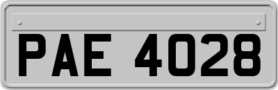 PAE4028