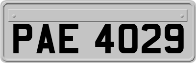 PAE4029