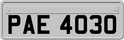 PAE4030