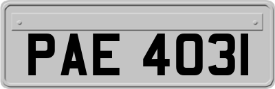 PAE4031