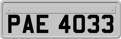 PAE4033