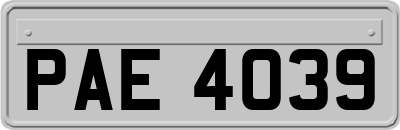 PAE4039