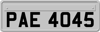 PAE4045
