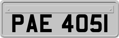 PAE4051