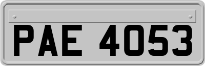 PAE4053