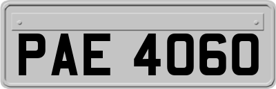 PAE4060