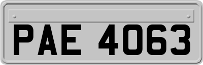 PAE4063