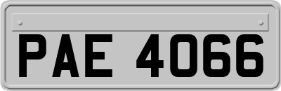 PAE4066