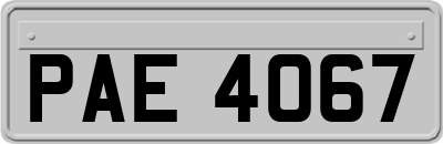 PAE4067