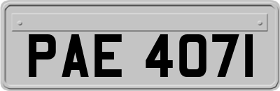 PAE4071