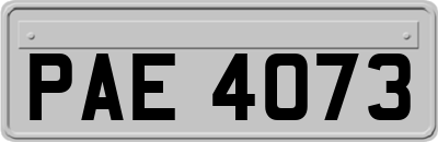 PAE4073