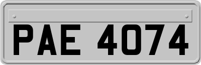 PAE4074