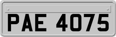 PAE4075