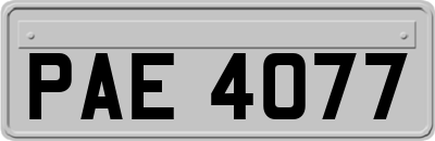 PAE4077