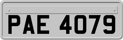 PAE4079