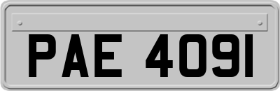 PAE4091