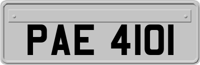 PAE4101