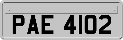 PAE4102